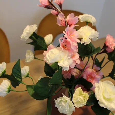 Appartement Doble R *