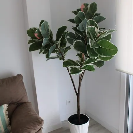 Doble R Apartment Vilalba
